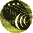 rollimage013.gif (401 ֽ)