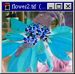 ƬЧ