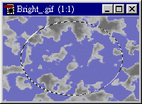 Բ��Ȧѡ������