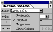 Բ��ȦѡOption�Ӵ�