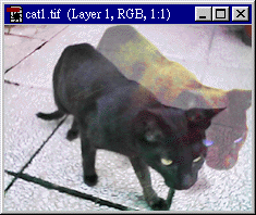  Layer 1 Ĳʶ
